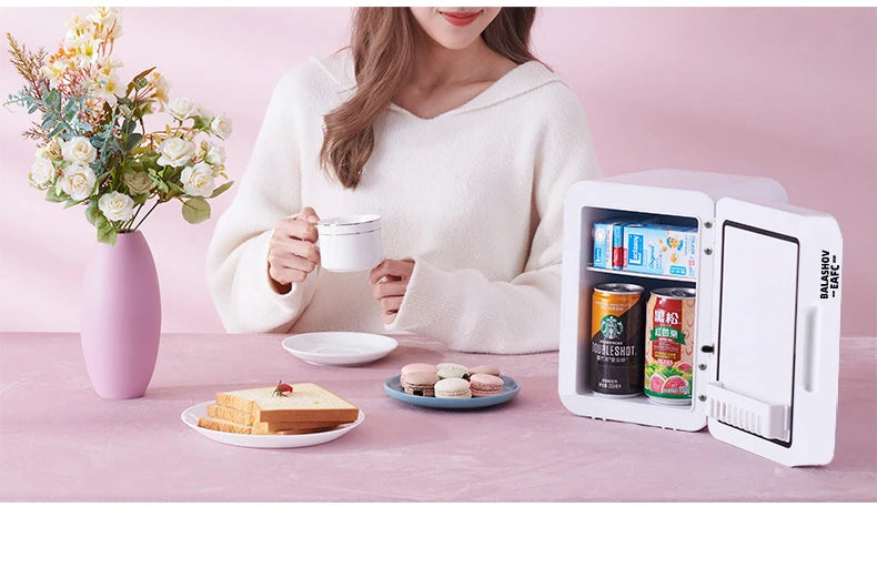 Mini Refrigerator Cosmetics Dormitory Cooler 4L Multifunction Fridge Picnic Camping for Home Car Small Portable Fridge Mirror