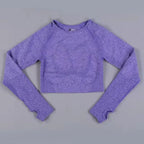 Long Sleeve Gym Crop Top Sports Yoga Top Women Seamless T-Shirts Fitness Crop Top Sport Active Wear Workout Athletic Shirts