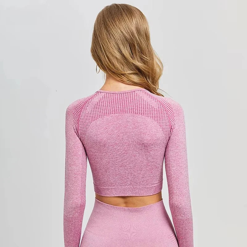 Long Sleeve Gym Crop Top Sports Yoga Top Women Seamless T-Shirts Fitness Crop Top Sport Active Wear Workout Athletic Shirts