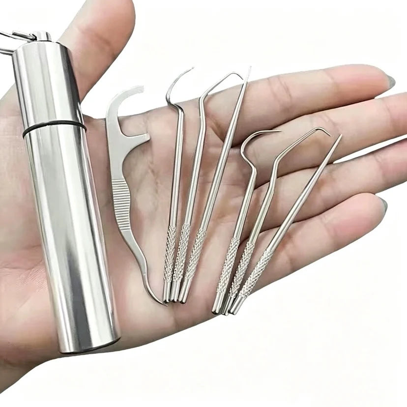 Stainless Steel Toothpick Set Reusable Toothpicks Tooth Flossing Tartar Removal Tool Portable Teeth Cleaner for Tooth Oral Clean