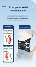 Back Braces Waist Belt Men Women Work Lower Back Pain Relief Breathable Anti-skid Spine Lumbar Support Belt