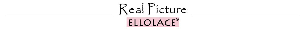 Ellolace Palace Women's Lingerie Sets Willowy Corset Thong 2PC Set Sexy Hot Strapless Lace Fancy Deep V-neck Women Underwear