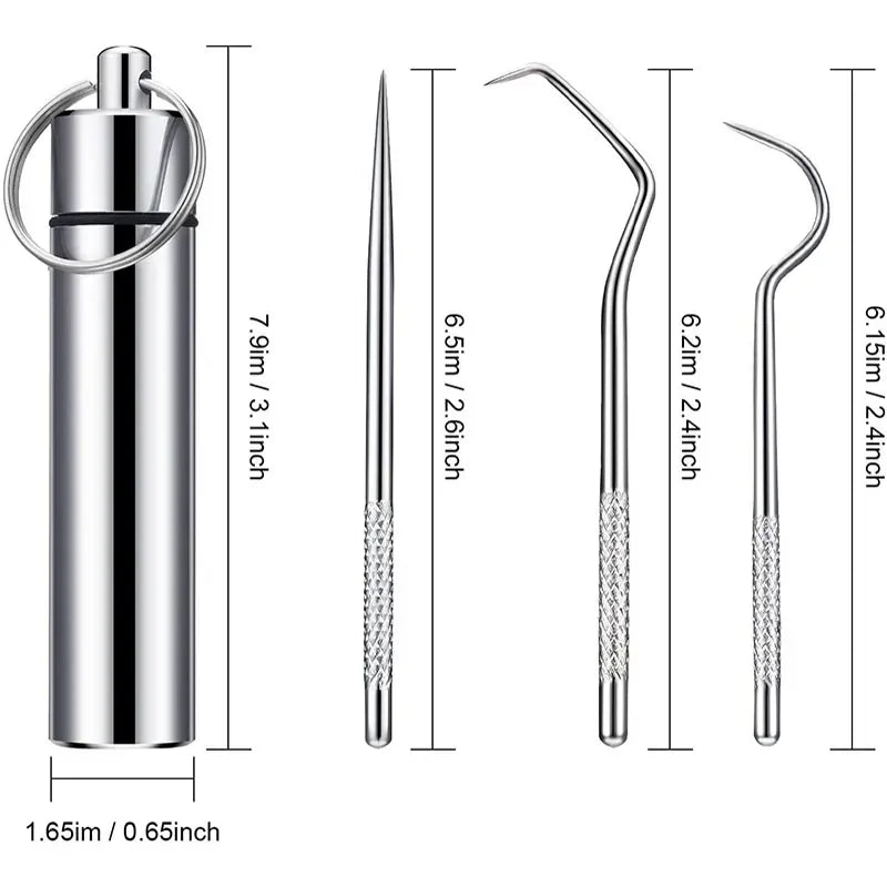 Stainless Steel Toothpick Set Reusable Toothpicks Tooth Flossing Tartar Removal Tool Portable Teeth Cleaner for Tooth Oral Clean
